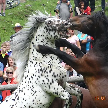 Vakantieboerderij Iglhof *